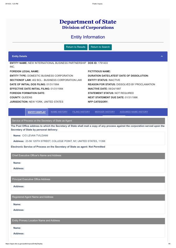 美国 New International Business Partnership 文件原件PDF样本下载
