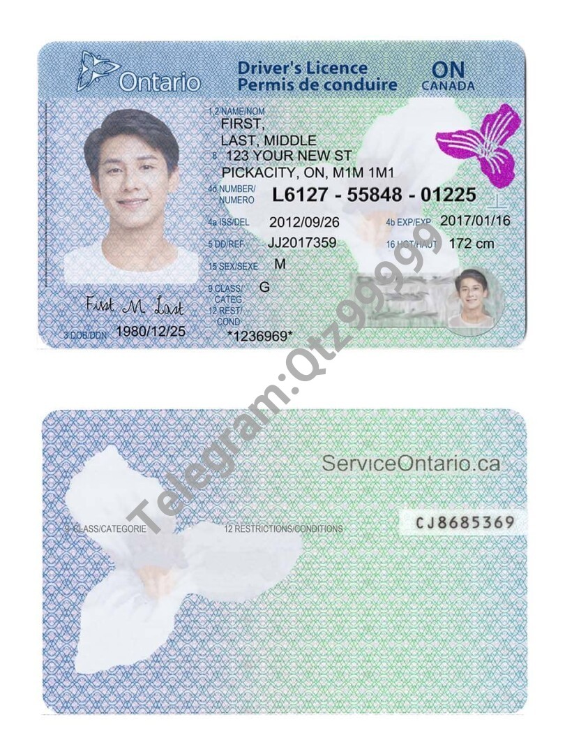 北美|Canada加拿大Ontario DL安大略省驾照/驾驶证PSD/Photoshop/PS模板 高清原件/PDF/PSD下载 - 地址证明风控解除