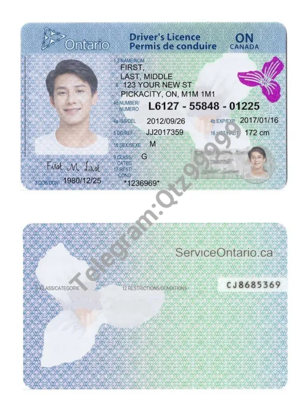 北美|Canada加拿大Ontario DL安大略省驾照/驾驶证PSD/Photoshop/PS模板