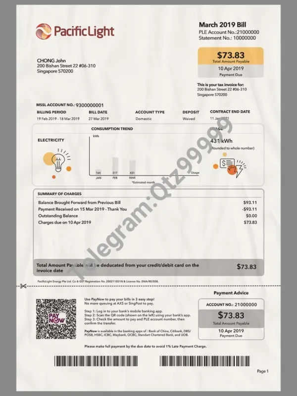 东南亚|Singapore Pacific Light Invoice新加坡宽带/话费账单PS/PSD模板