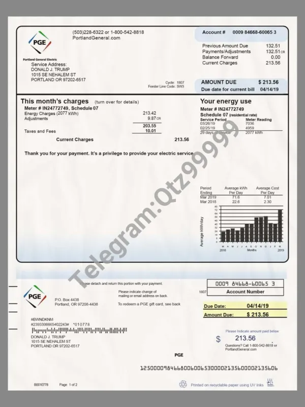 USA Oregon PGE Electricity Utility Bills美国俄勒冈州水电费账单PS/PSD模板