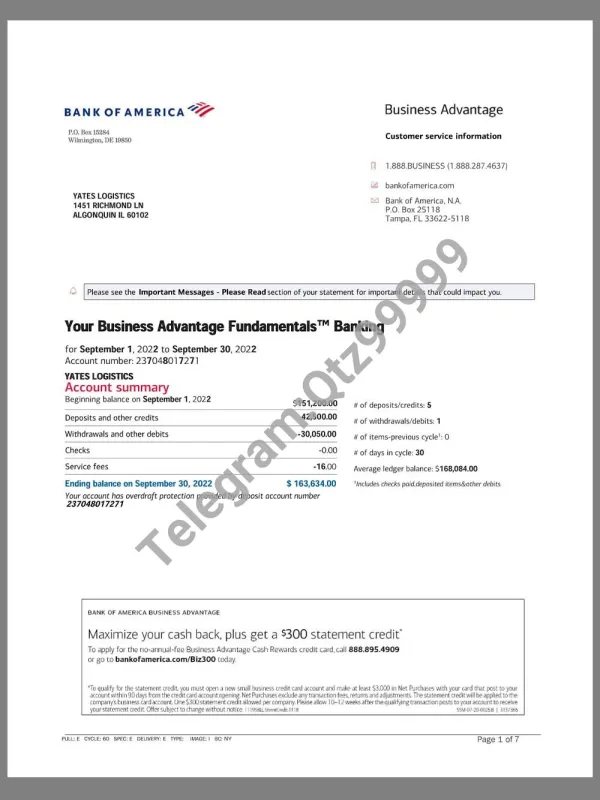 USA BOA Enterprise Account Bank Statement美国银行企业账单(V2)