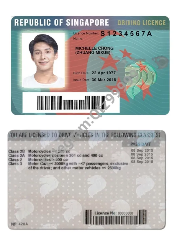东南亚|Singapore DL新加坡驾驶证/驾照PSD/photoshop模板