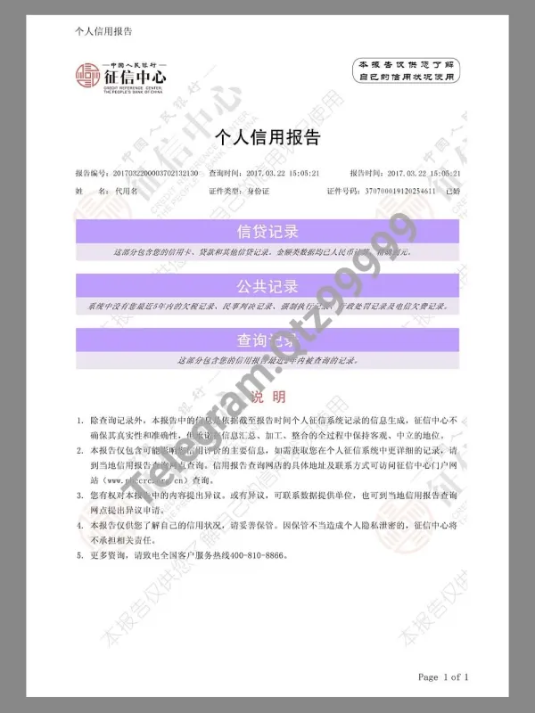 China Personal Credit Report个人信用报告PS/PSD模板