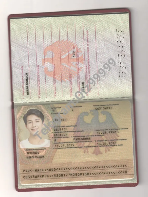 欧盟|Germany Passport德国老版护照PSD/photoshop/PS模板（V1）