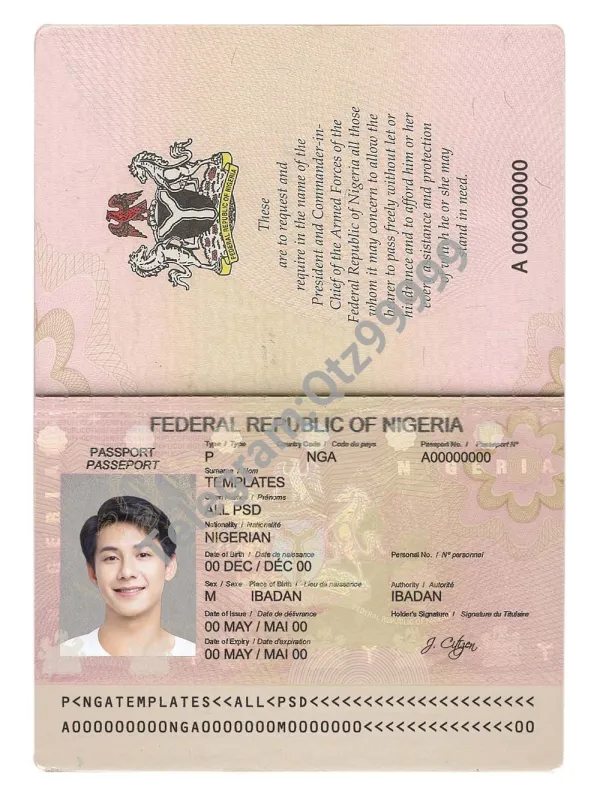 非洲 西非 Nigeria Passport尼日利亚护照 PSD预览图