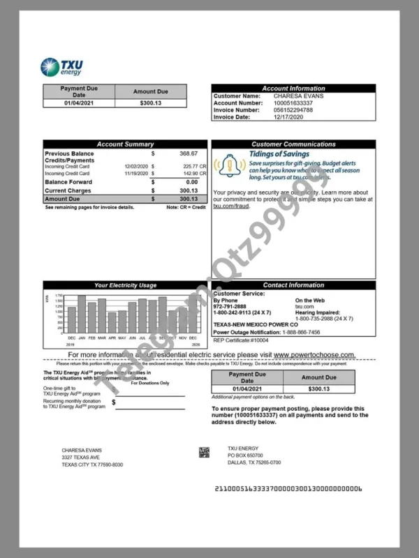 USA Texas TXU Energy Utility Bills美国德克萨斯州水电费账单word/pdf模板