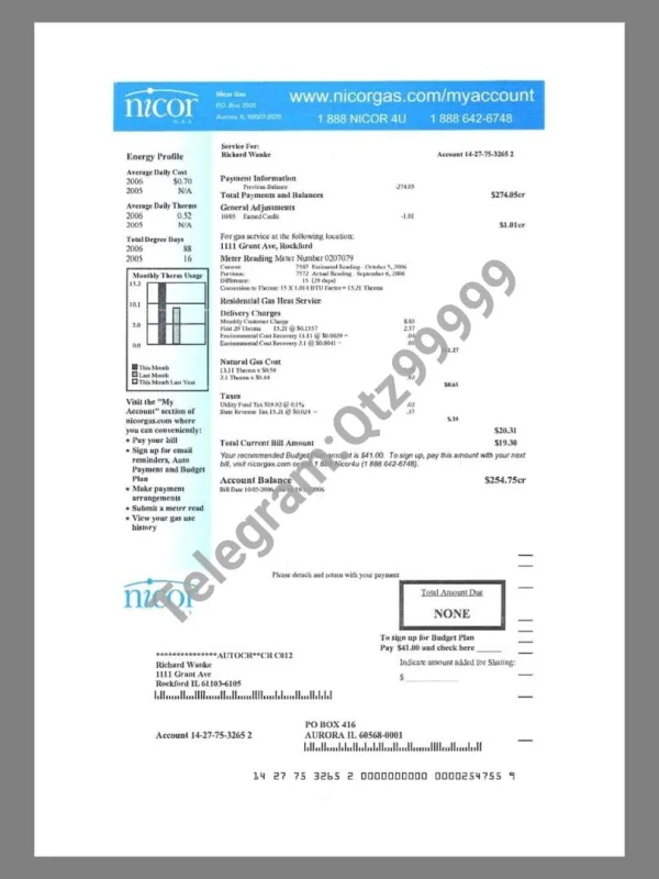 美国USA Illinois Nicor Gas Utility Bills水电费账单/KYC地址证明pdf模板