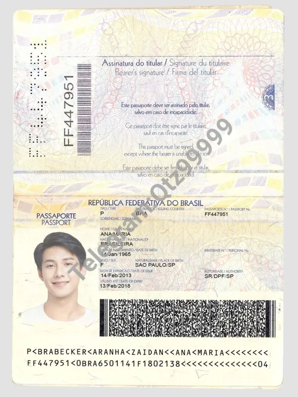 南美|Brazil Passport Template巴西护照PS/Photoshop/PSD模板（V1版）