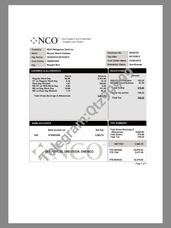 NCO Paystub template客服外包公司收入证明/工资账单PDF模板