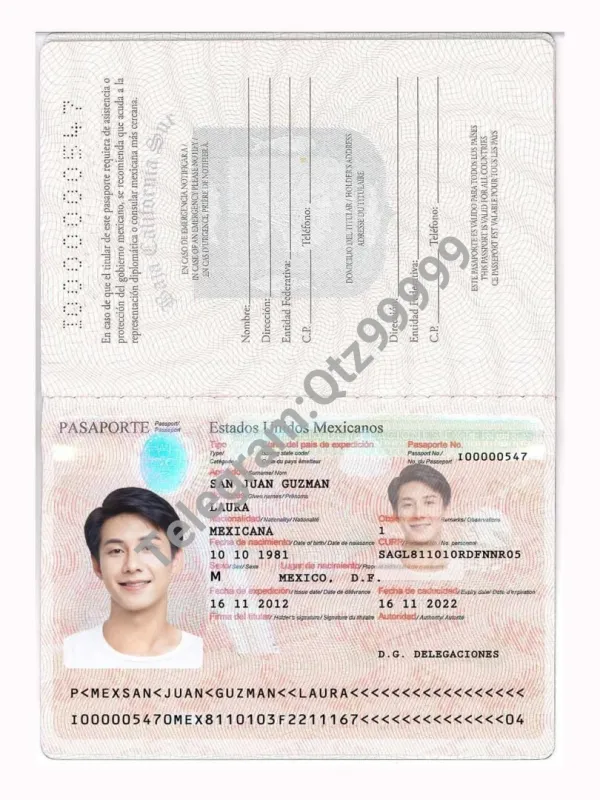 北美|Mexico Passport墨西哥护照PSD/photoshop/PS模板