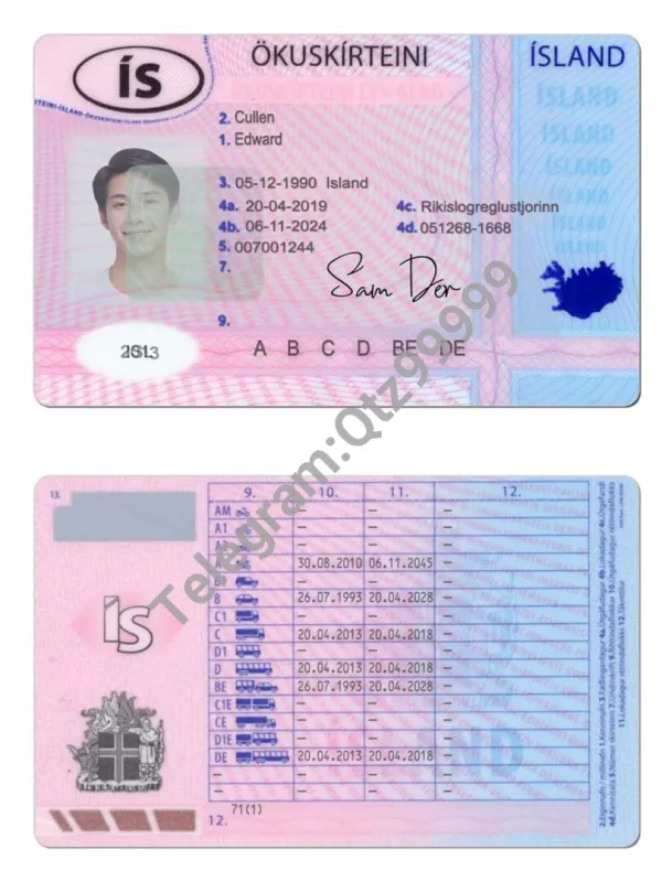 北欧| Iceland Driver License冰岛驾照/驾驶证PS/PSD模板