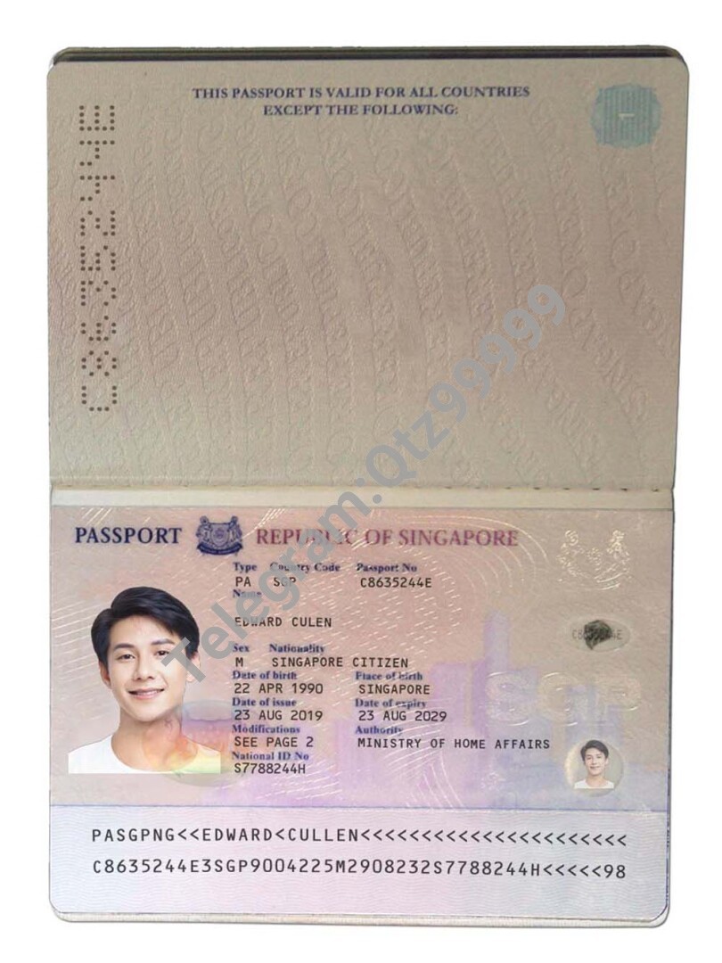 东南亚|Singapore Passport新加坡护照PSD/PS/Photoshop模板 高清原件/PDF/PSD下载 - 地址证明风控解除