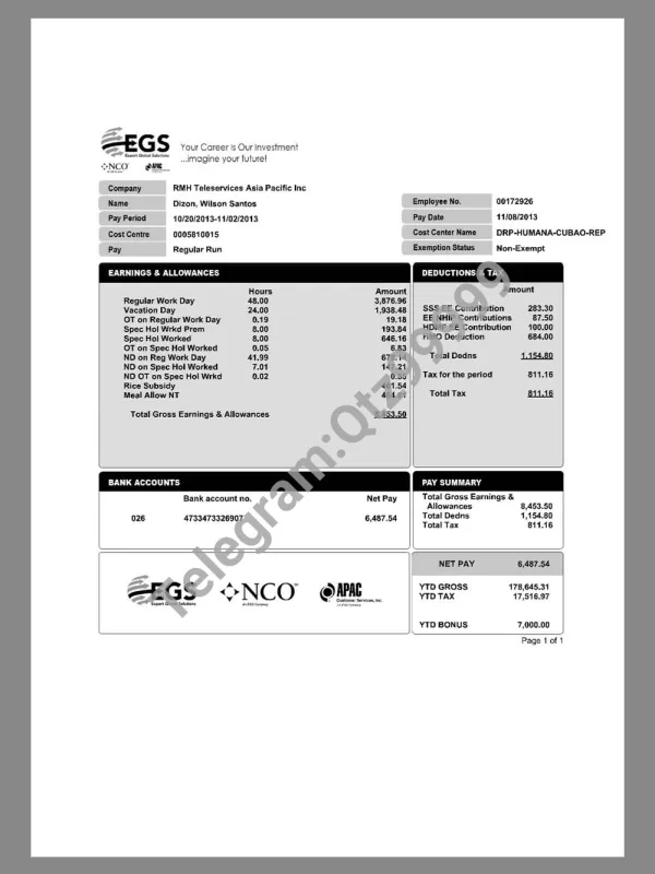 EGS Company Paystub template工程服务公司收入证明/工资账单PDF模板