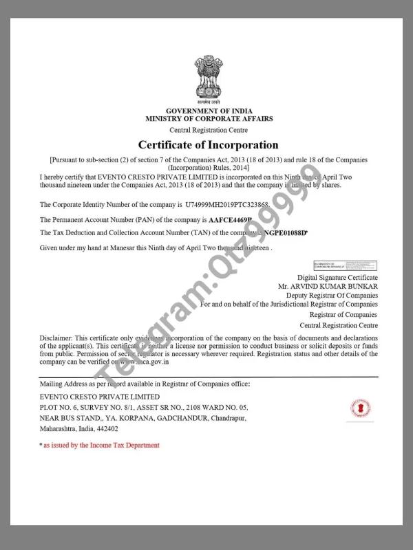 Indian Company Certificate印度企业营业执照pdf模板