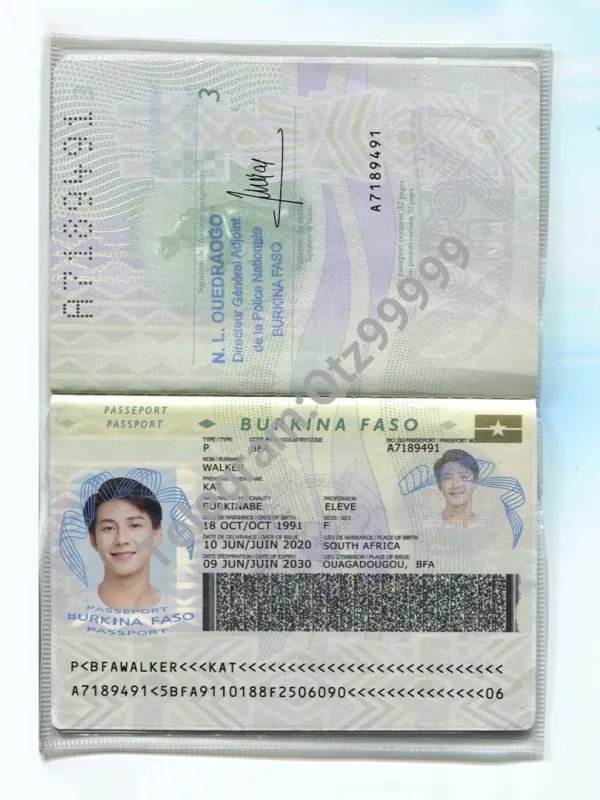 非洲 西非Burkina Faso Passport布基纳法索护照PSD预览图