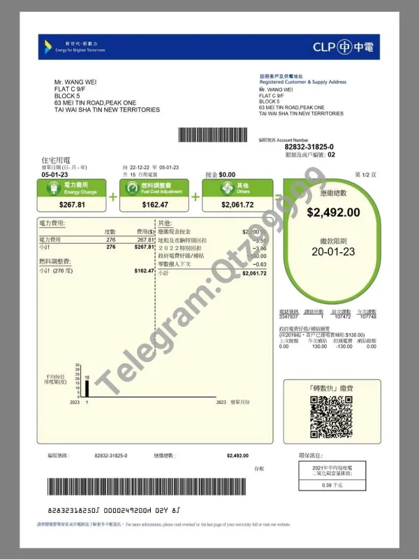 China| Hong Kong Utility Bills(CLP)香港水电费账单/地址证明pdf模板