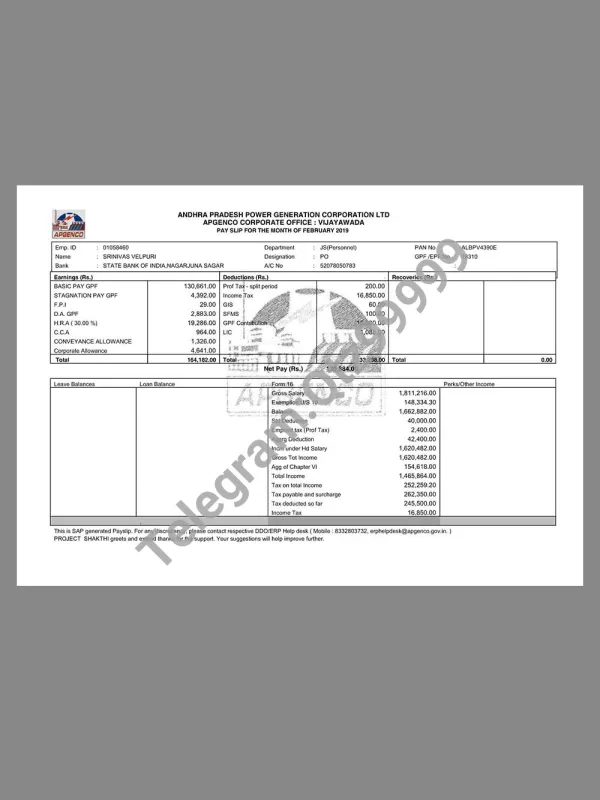 India APGENCO Paystub template印度电力公司收入证明/工资账单PDF模板