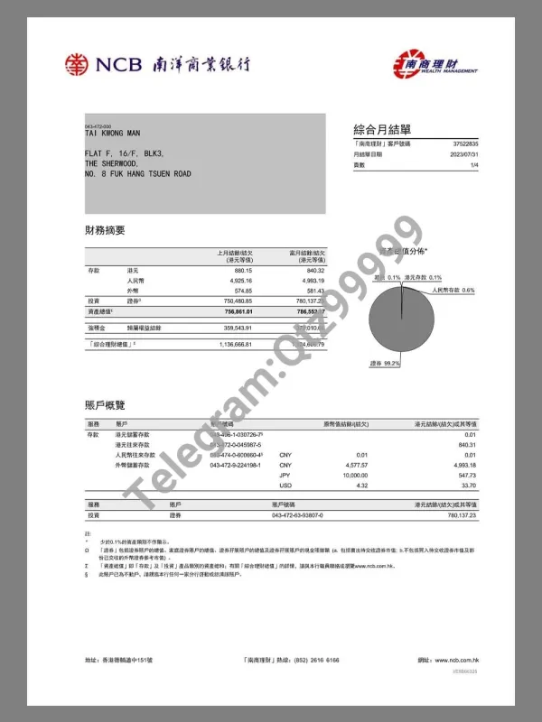 中国|Hong Kong NCB Bank Statement香港南洋商业银行pdf模板