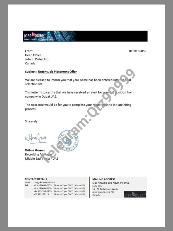 UAE Job Offer Letter阿联酋迪拜工作邀请函PDF模板