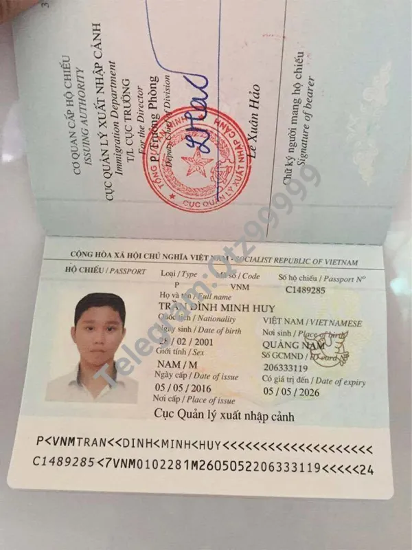 东南亚|Vietnam Passport越南护照拍照PS/Photoshop/PSD模板
