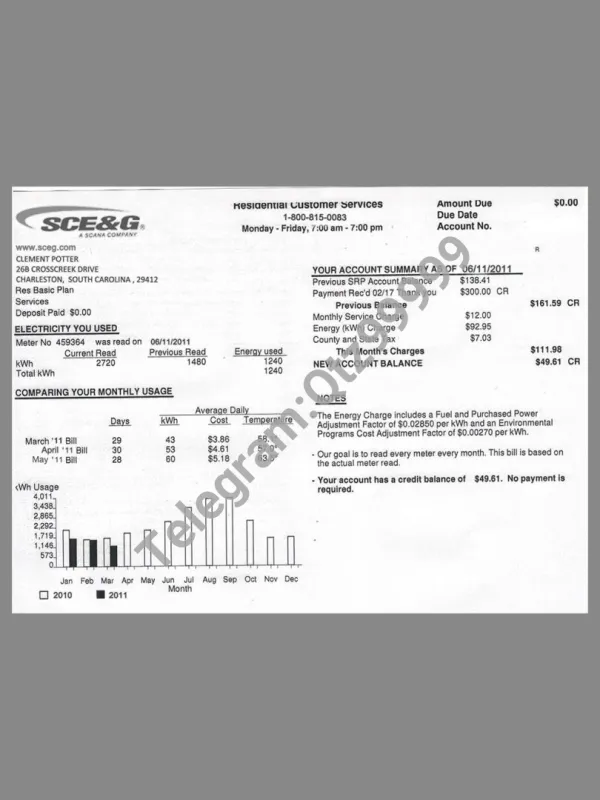 USA South Carolina SCE&G Utility Bills美国南卡罗来纳州水电费账单PS/PSD模板