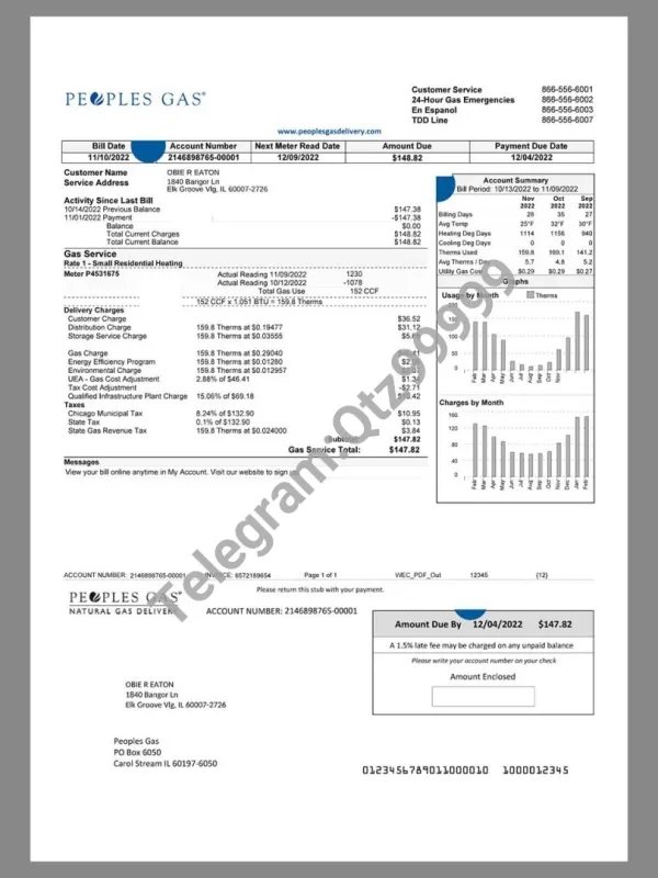 北美|USA Illinois Peoples Gas Utility Bills美国伊利诺伊州水电费账单word/pdf模板