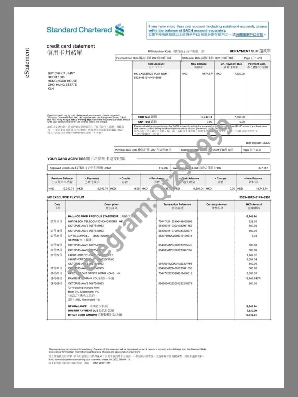 中国|Hong Kong Standard Chartered Bank Statement香港渣打银行信用卡账单pdf模板