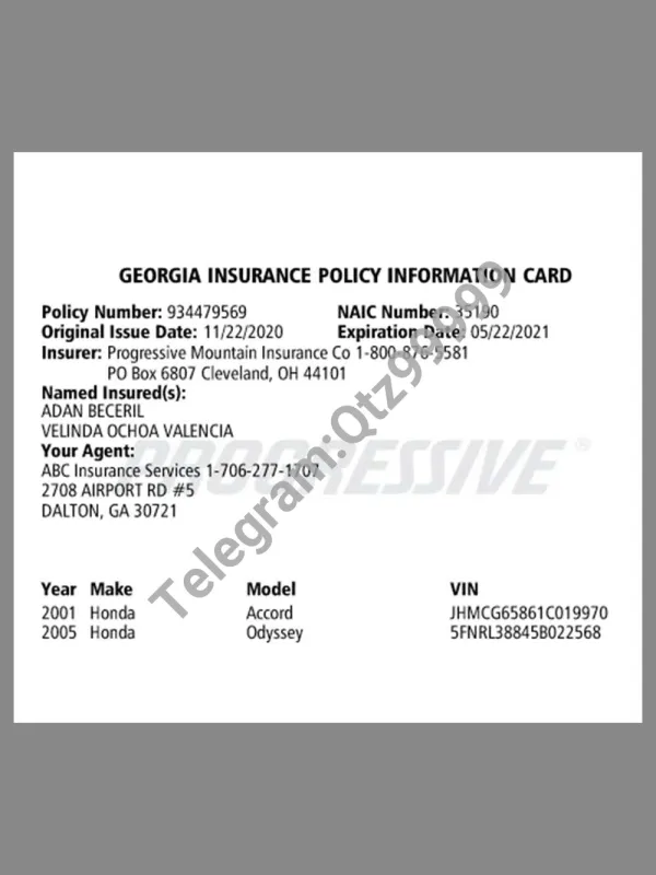 USA Georgia Auto Insurance Policy Infomation Card美国乔治亚州车辆保险政策信息卡pdf模板