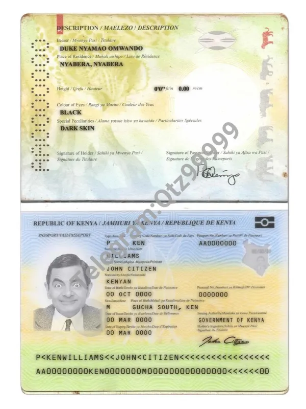 非洲 Kenya Passport Template肯尼亚新版护照PSD (V预览图