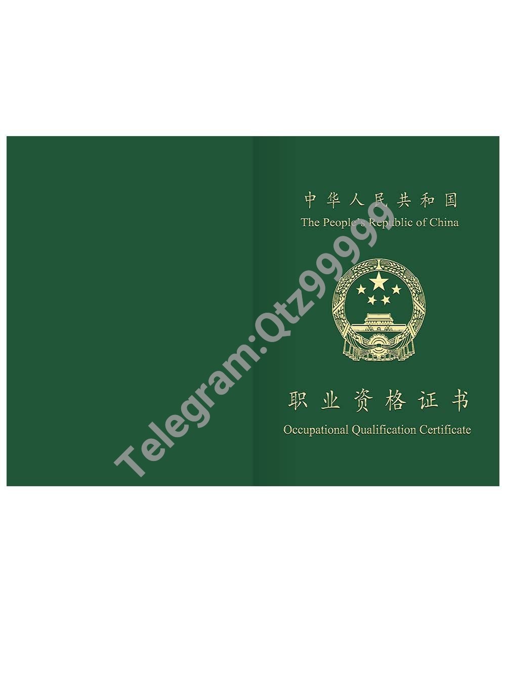 China Caregiver Professional Qualification Certificate保育员职业资格证书PS/PSD模板 高清原件/PDF/PSD下载 - 地址证明风控解除