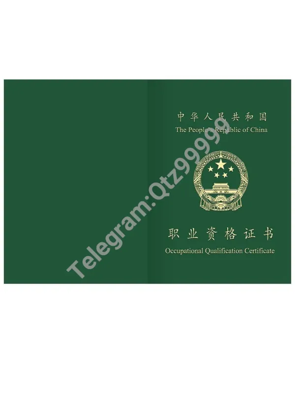 China Caregiver Professional Qualification Certificate保育员职业资格证书PS/PSD模板