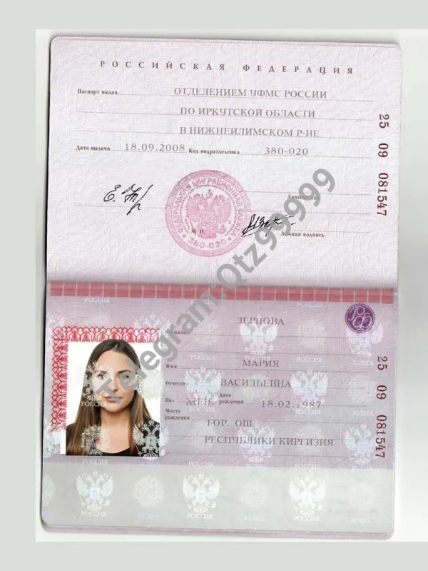 东欧|Russia Passport俄罗斯老版护照PSD/photoshop/PS模板（V2）