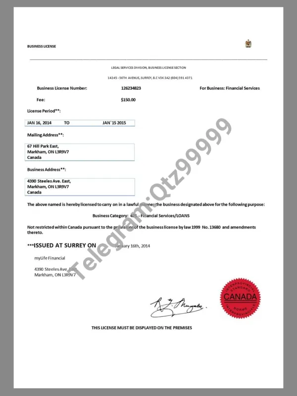 Canada Ontario Business Licences加拿大安省商业/经营许可证pdf模板