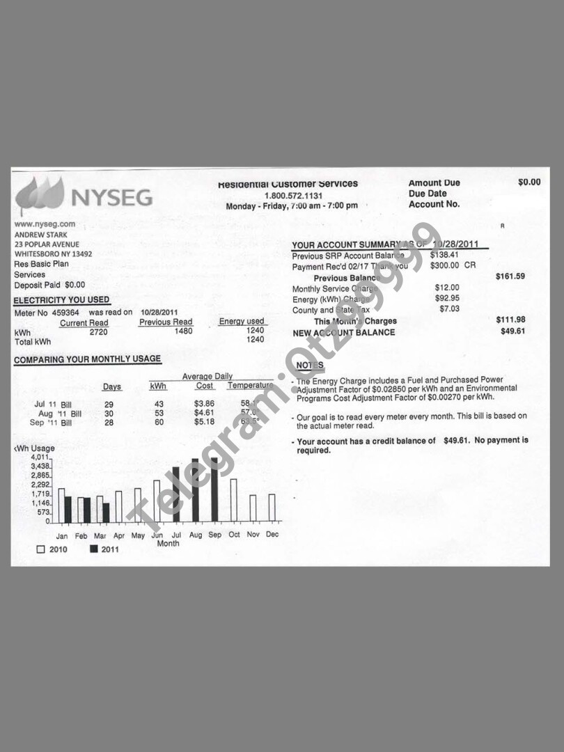 美国USA New York NYSEG Utility Bills水电费账单/KYC地址证明psd模板 高清原件/PDF/PSD下载 - 地址证明风控解除