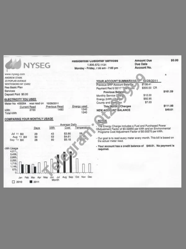 美国USA New York NYSEG Utility Bills水电费账单/KYC地址证明psd模板