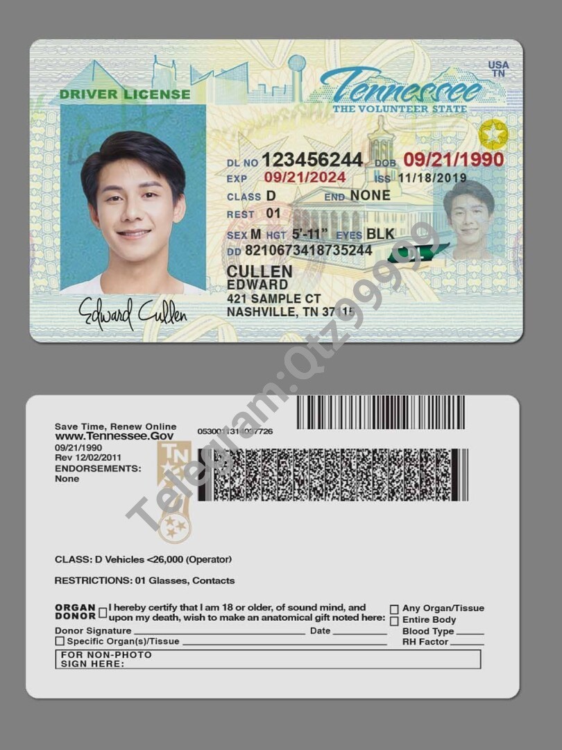 USA美国田纳西州Tennessee DL新版驾驶证/驾照高质量PSD模板/Photoshop/PS 高清原件/PDF/PSD下载 - 地址证明风控解除