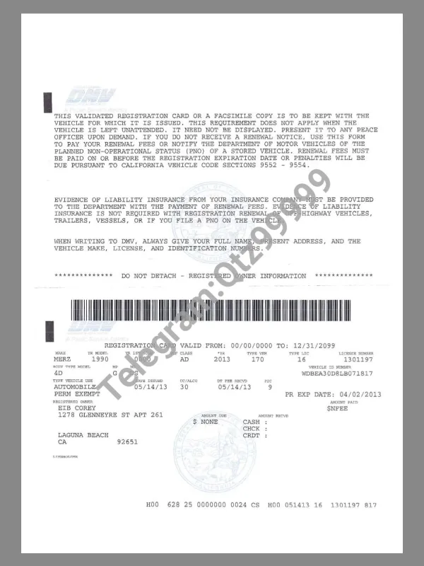 USA California Vehicle Validated Regist预览图