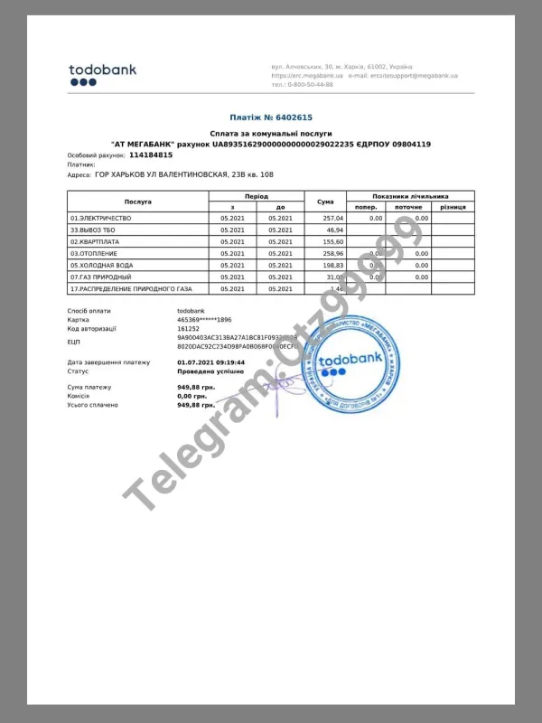 Ukraine Todo Bank Utility Statement乌克兰水电物业银行账单pdf模板
