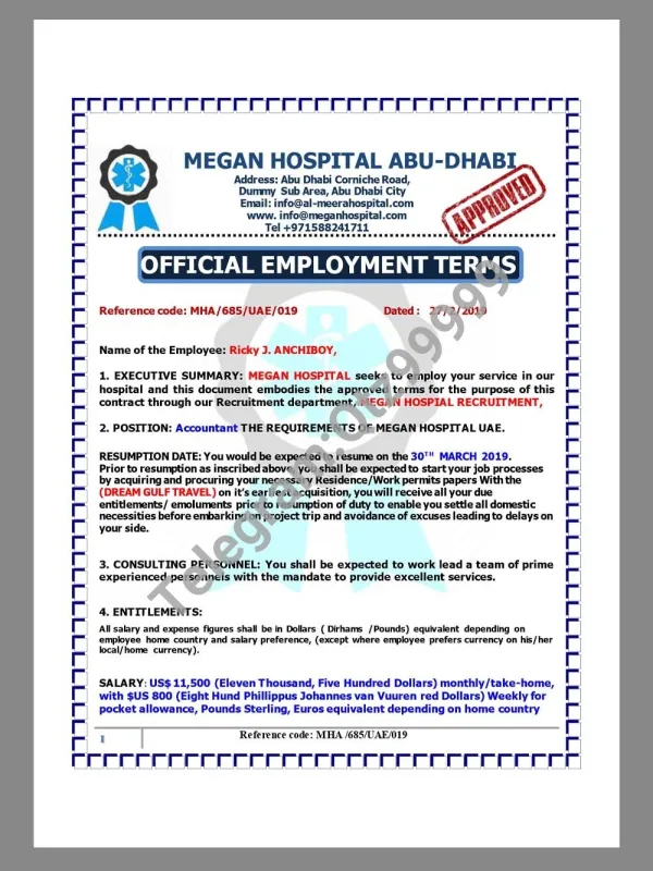 UAE Megan Hospital Job Offer Letter阿联酋医院工作邀请函PDF模板