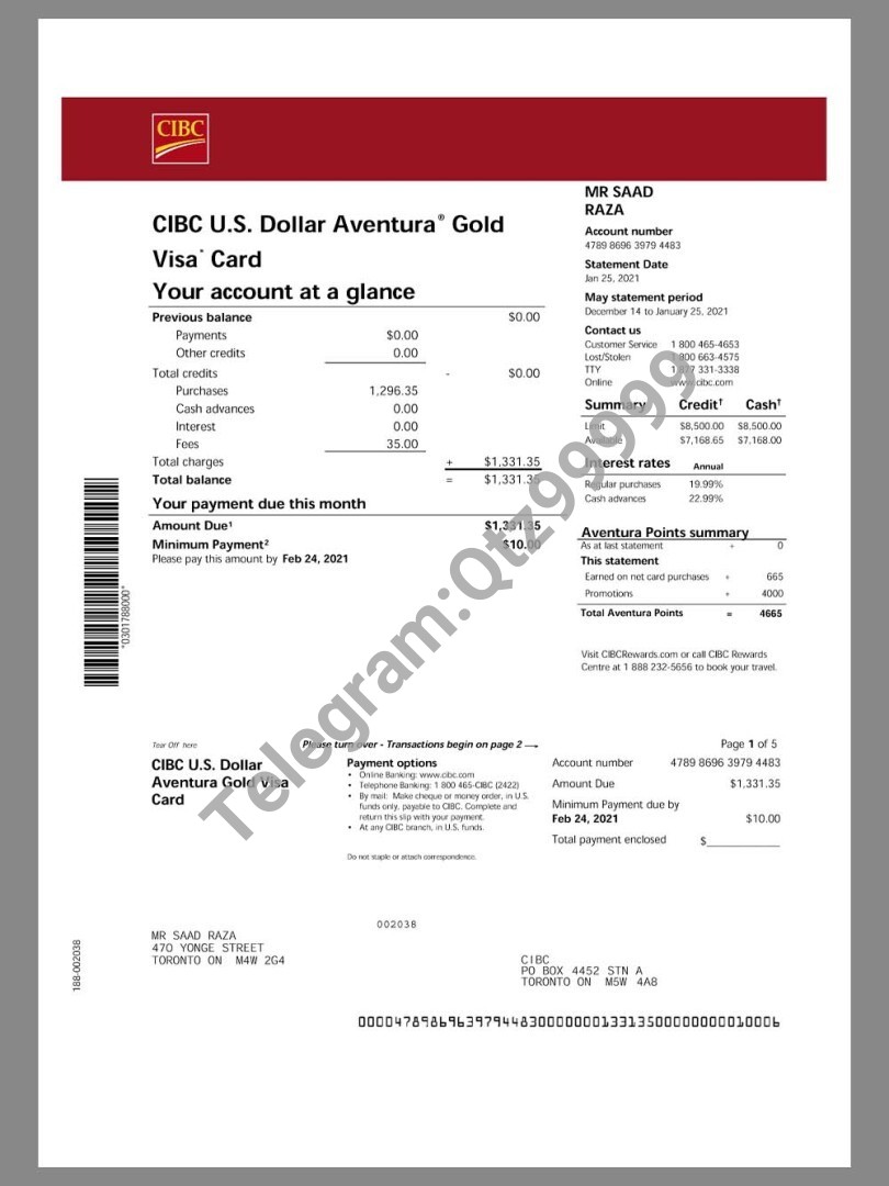 加拿大帝国商业银行CIBC Bank Gold Visa Card Statement银行信用卡账单/KYC地址证明pdf模板 高清原件/PDF/PSD下载 - 地址证明风控解除