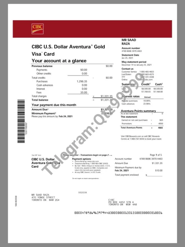 加拿大帝国商业银行CIBC Bank Gold Visa Card  Statement银行信用卡账单/KYC地址证明pdf模板