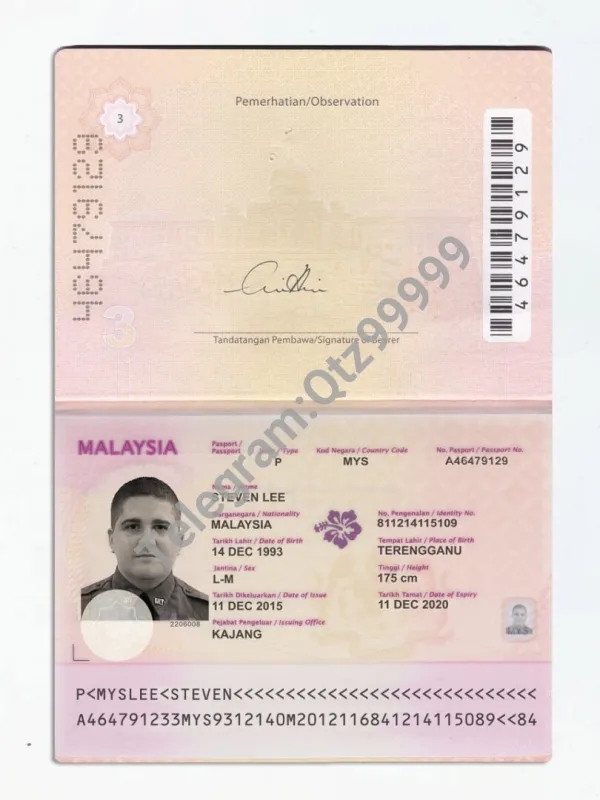 东南亚|Malaysia Passport马来西亚护照PSD/Photoshop/PS模板