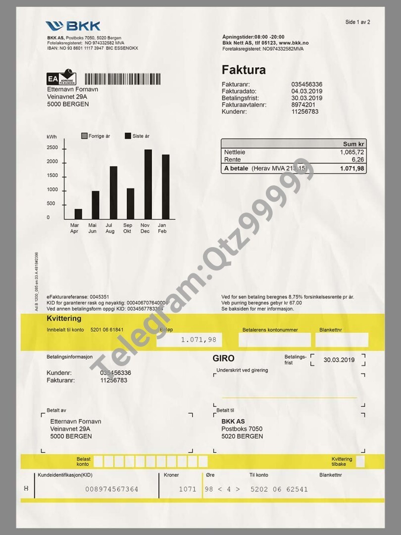 欧盟|北欧Norway BKK Utility Bills挪威水电费账单/KYC地址证明PS/PSD模板 高清原件/PDF/PSD下载 - 地址证明风控解除
