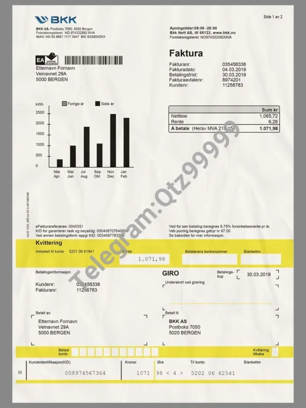 欧盟|北欧Norway BKK Utility Bills挪威水电费账单/KYC地址证明PS/PSD模板