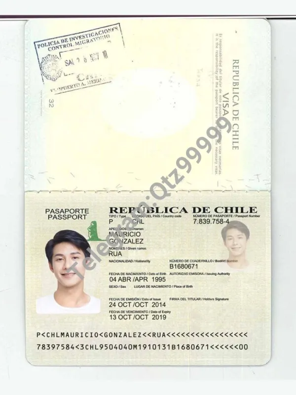 南美|拉美|Chile Passport智利护照PSD/photoshop/PS模板