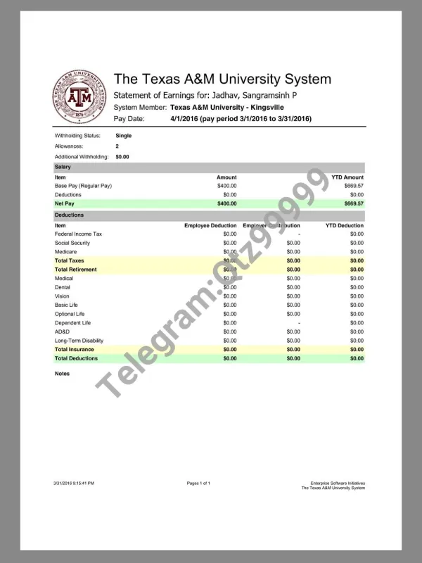 The Texas A&M University Paystub美国大学教授收入证明/工资账单PDF模板