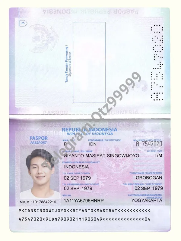 东南亚|Indonesia Passport印度尼西亚/印尼护照PS/Photoshop/PSD模板
