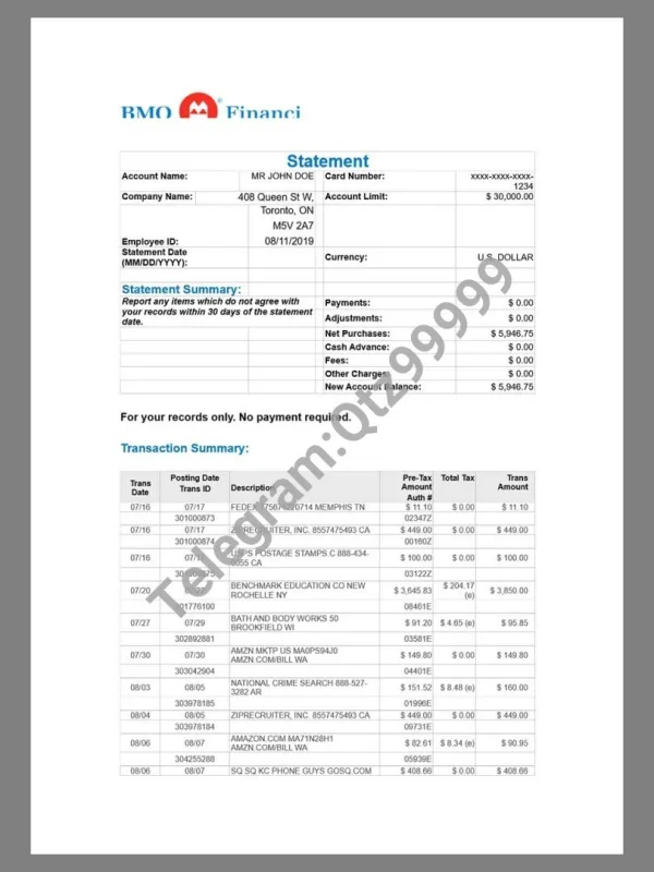 BMO Bank Statement银行账单/KYC地址证明word模板