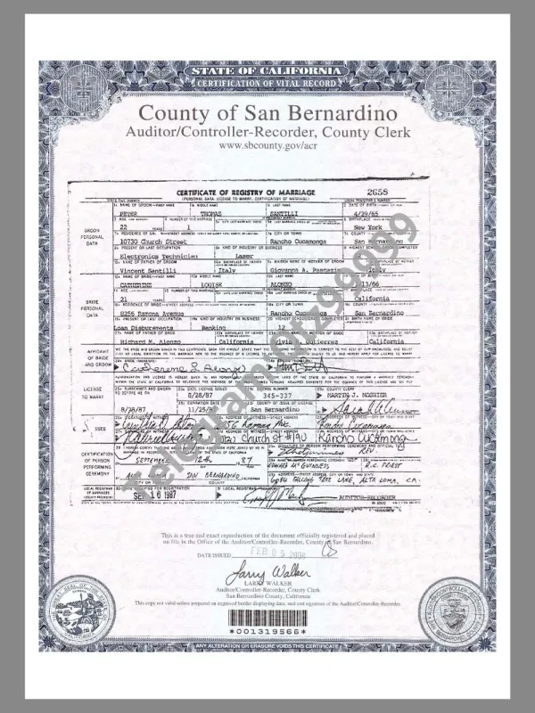 USA California Marriage Certificate美国加州结婚证PDF模板（V2）